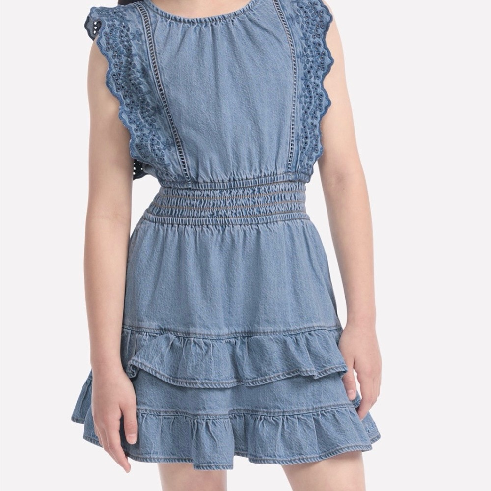 abercrombie kids Light Blue Denim Ruffle Dress
